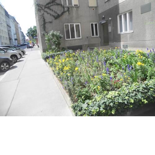 Apartment Jacquingasse