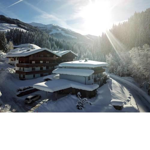 Apartment Jenewein (WIL541)