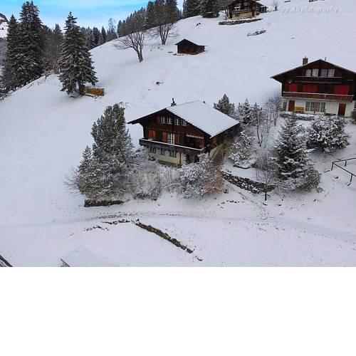 Apartment Jungfrau an der Ledi.1