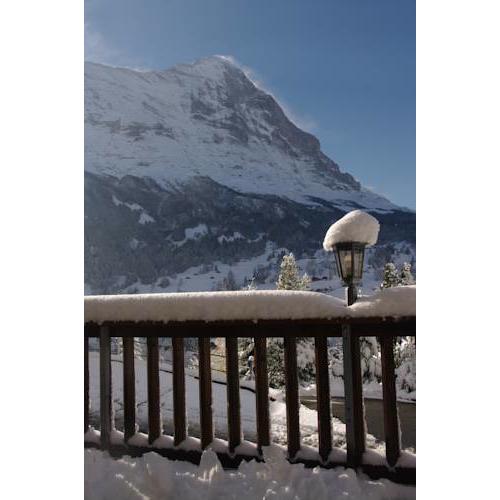 Apartment Jungfrau Lodge