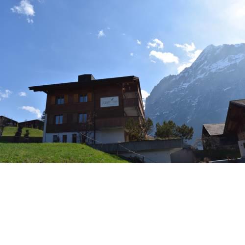Apartment Jungfrau