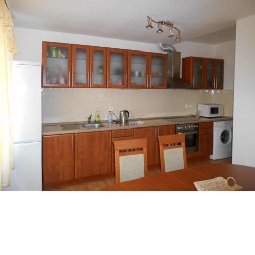Apartment Křižíková