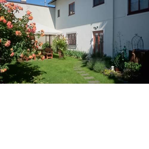 Apartment Kulovits