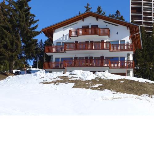 Apartment Les Aiguilles Vertes