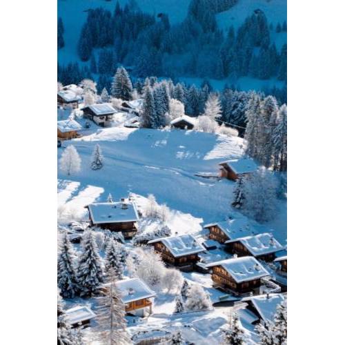 Apartment Les Roseyres