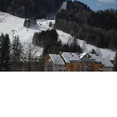 Apartment Lesnina