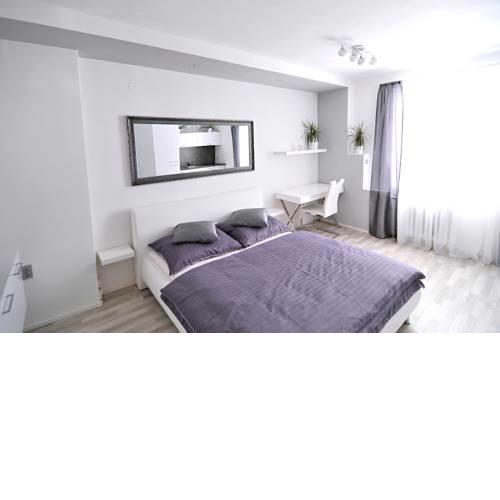 Apartment Liberec