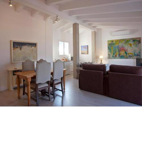 Apartment Loft Dionis