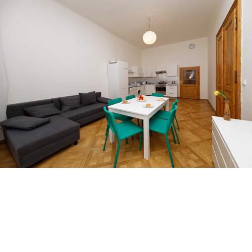 Apartment Manesova 4