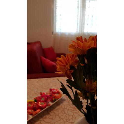 Apartment Masha 2