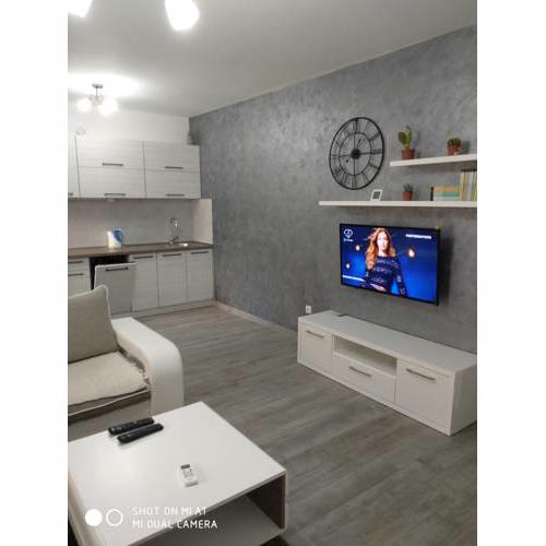 Apartment Maska