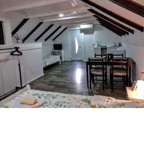 Apartment Mesić