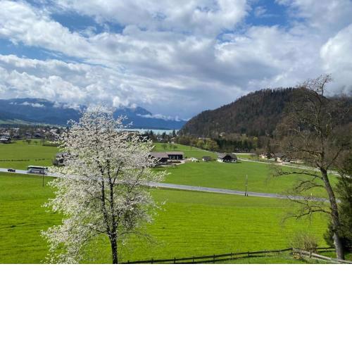 Apartment mit Seeblick