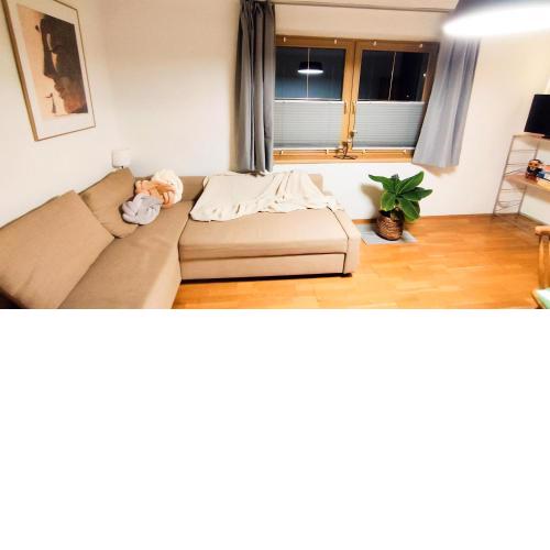 Apartment Mizi
