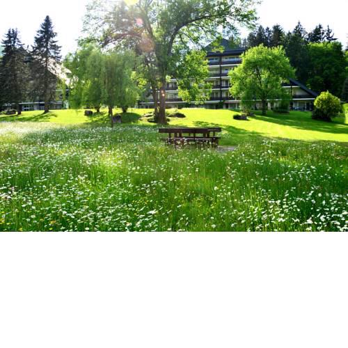 Apartment Mostviertel - Wellness mit Hallenbad & Sauna