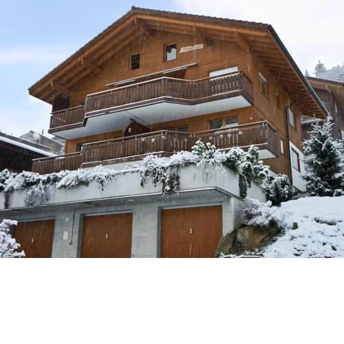 Apartment Mountain Lake Panorama