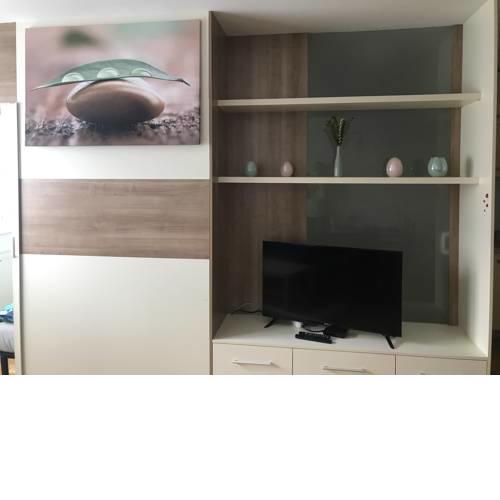 Apartment na Povšetova