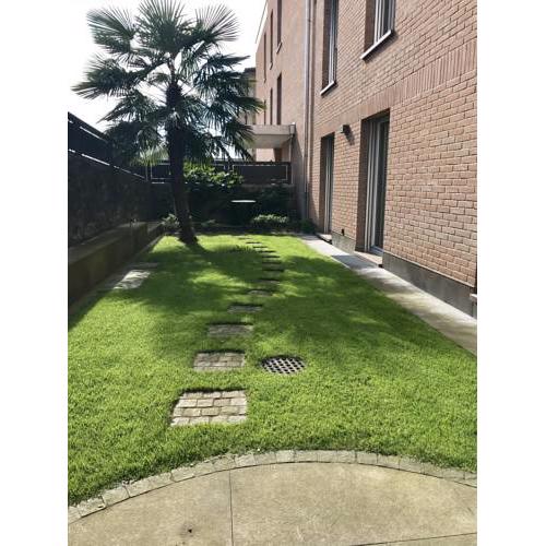 Apartment Naik