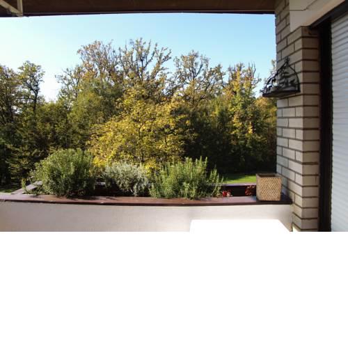 apartment near city center