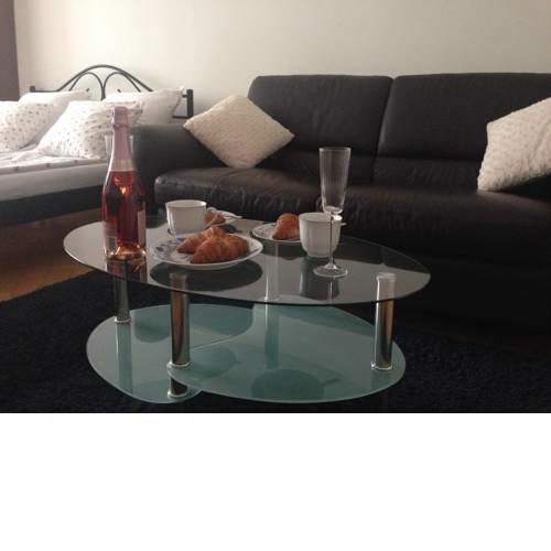 Apartment near Dancing House