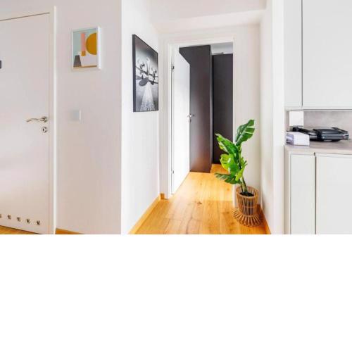 Apartment near Metro & Netflix - Kingsize Bed