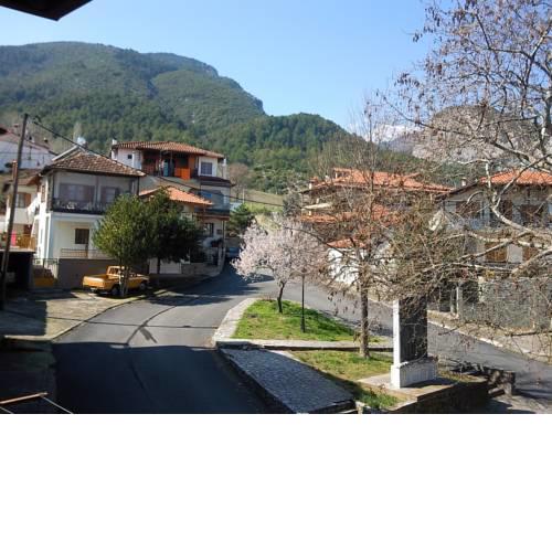 Apartment near Olympus mountain