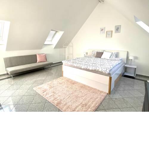 Apartment next to Messe Österreich / Prater