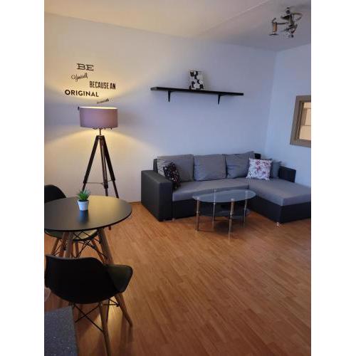 Apartment next to Steel Arena