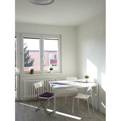 Apartment Nova