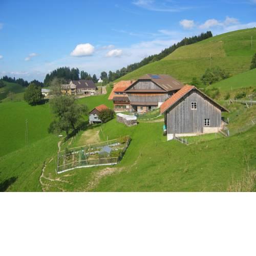 Apartment Ober-Tiefenbühl