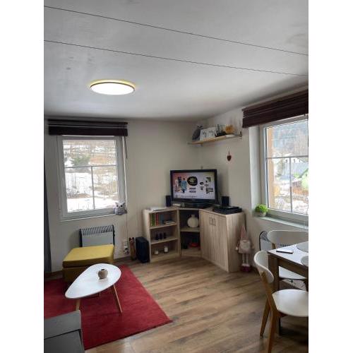 APARTMENT OWL