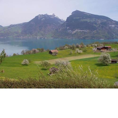 Apartment Panoramaferienwohnung Waldkircher