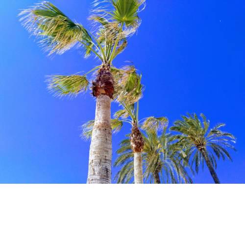 Apartment Perfect Stay Javea