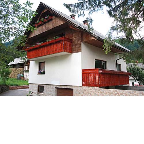 Apartment Polina