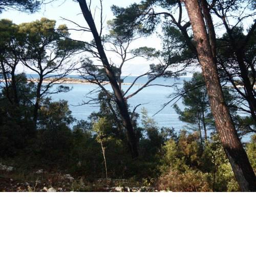 Apartment Pomena 614a