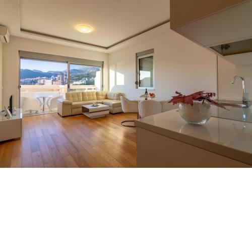 Apartment Ponta Nova