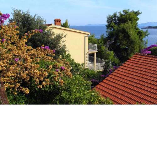 Apartment Prizba 9146b