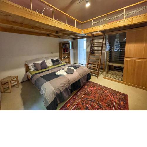 Apartment ProFamily - infrasauna by Interhome