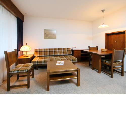 Apartment Ringstrasse (Utoring).6