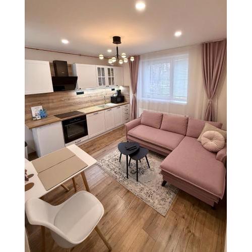 Apartment R&L Lazovná 2 - old town and parking