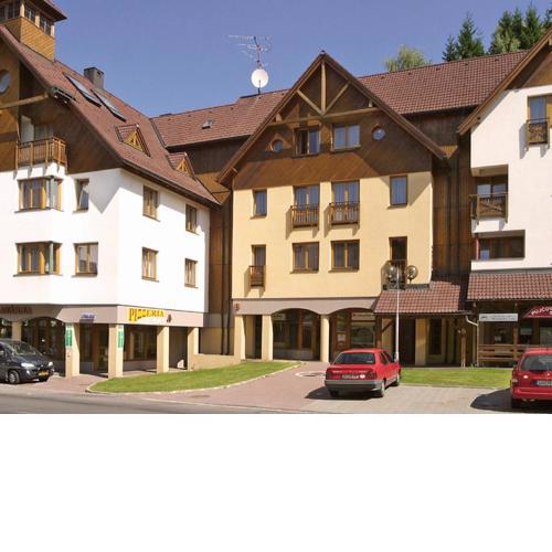 Apartment Rokytnice