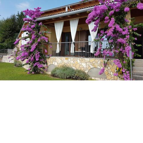 Apartment San Pietro