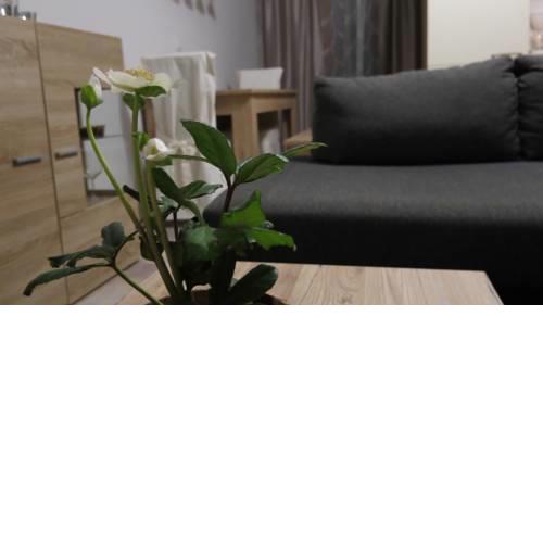 Apartment Sara