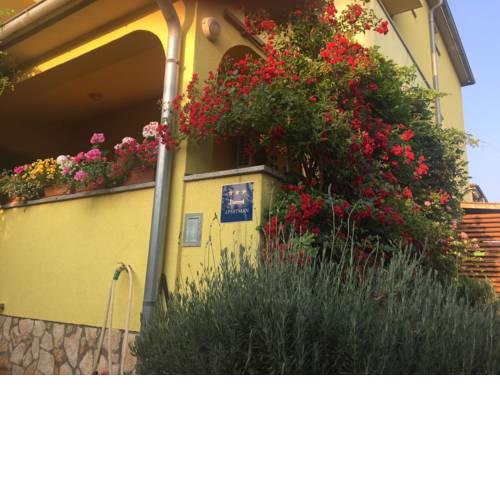Apartment Šaraja Ližnjan