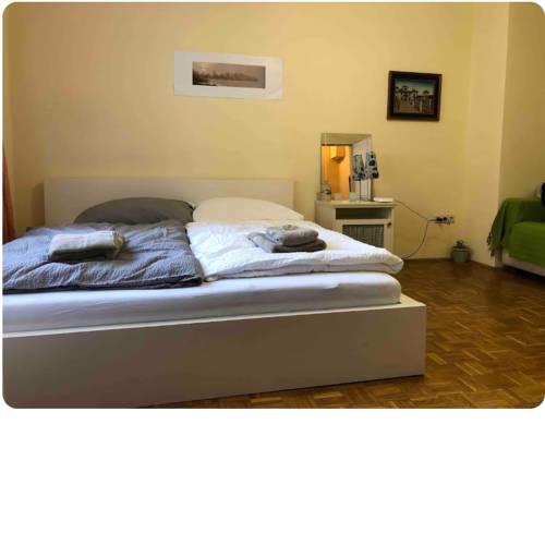 Apartment Schüttelstraße Prater