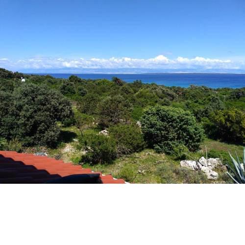 Apartment Silba 17866a