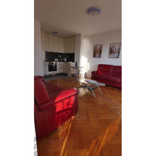 Apartment Skada