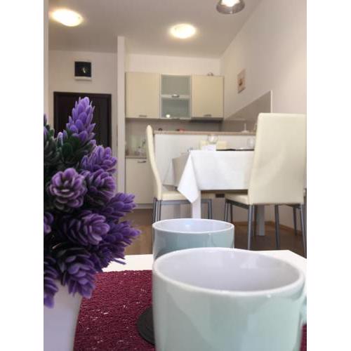 Apartment Sofija