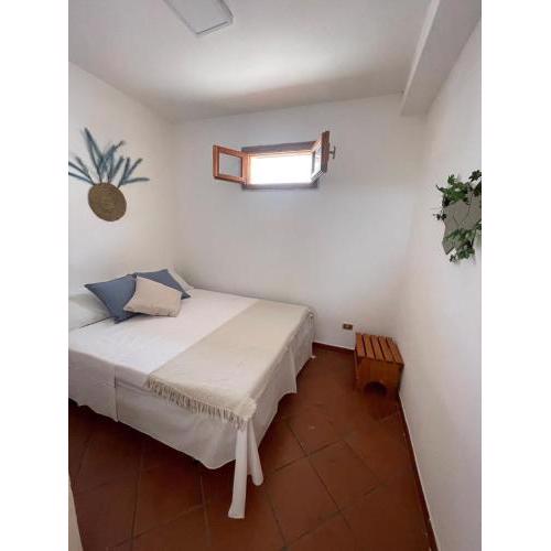 Apartment Sophia