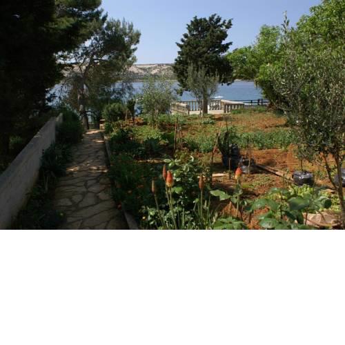 Apartment Stara Novalja 4063c
